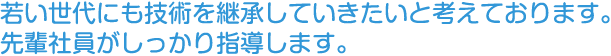 先輩社員がしっかり指導します。